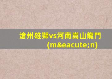 滄州雄獅vs河南嵩山龍門(mén)